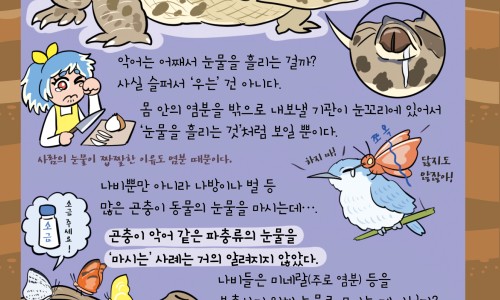 六个月宝宝CT要多久-6个月宝宝照2次ct网- 六月龄宝宝做ct有什么影响知识,分享六个月宝宝做ct有什么副作用